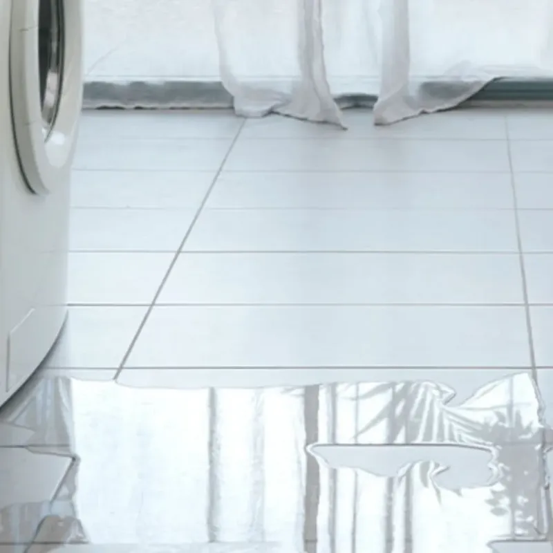 Appliance Leak Cleanup in Ramsey, IL