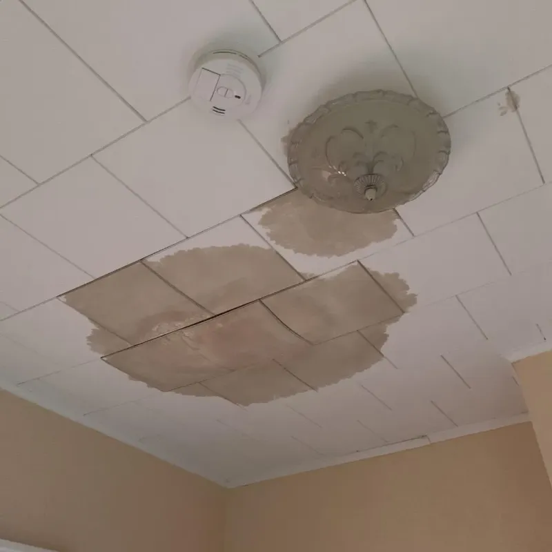 Ceiling Water Damage Repair in Ramsey, IL