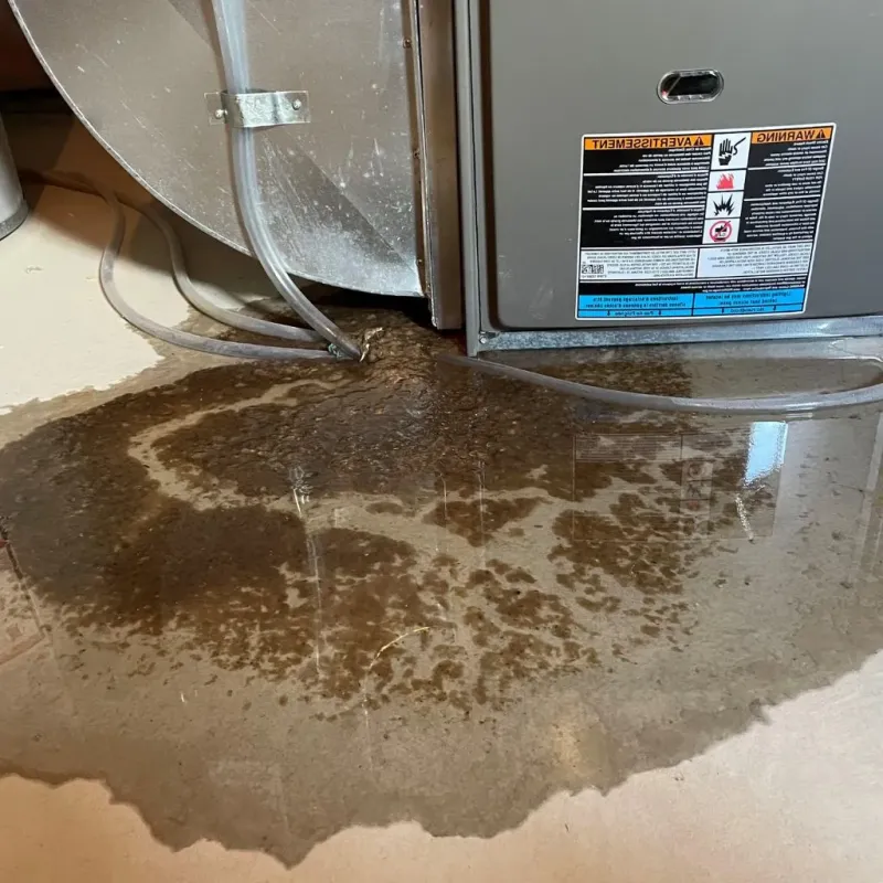 Pipe Burst and Leak Restoration in Ramsey, IL