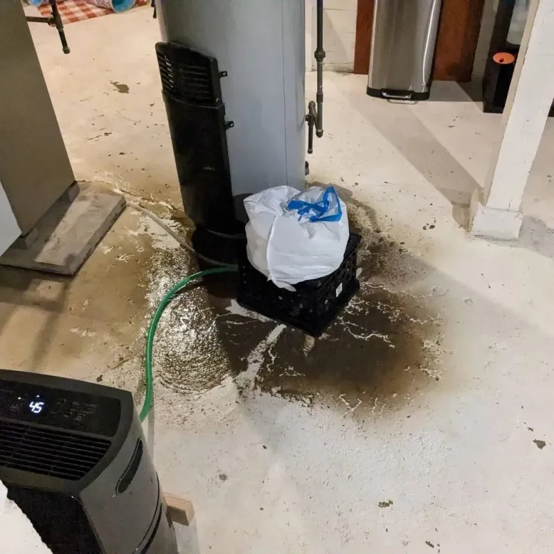 Sewage Backup Cleanup Service in Ramsey, IL